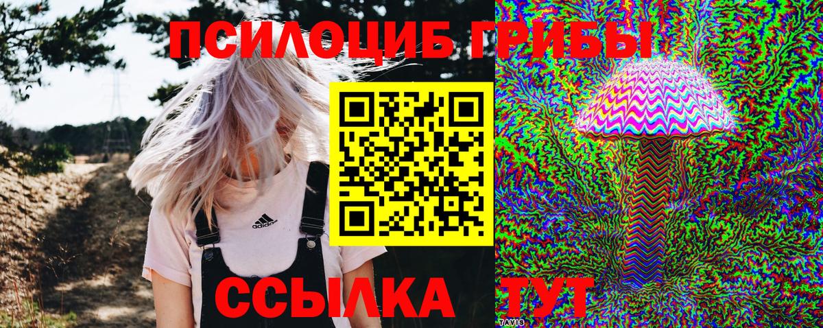 Псилоцибиновые грибы мухоморы Знаменск