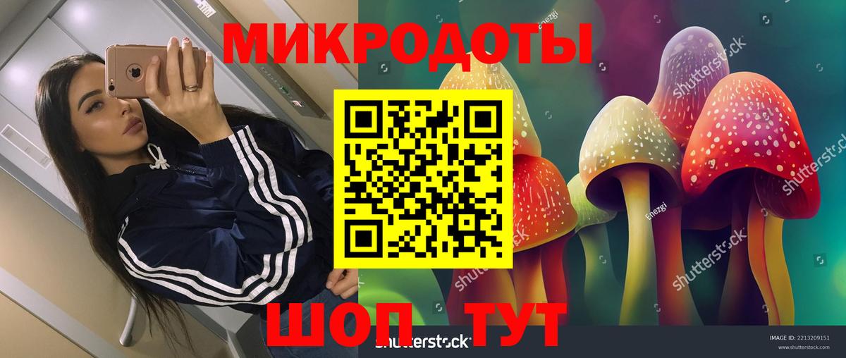 Знаменск  Галлюциногенные грибы Psilocybine cubensis  цены   Вход с VPN 